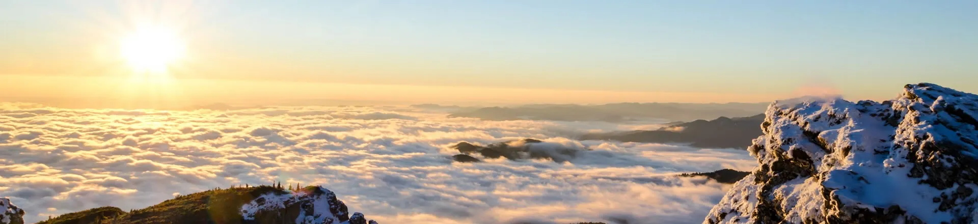 미국 비디오 게임 산업이 다시 성장세를 보이고 있습니다.